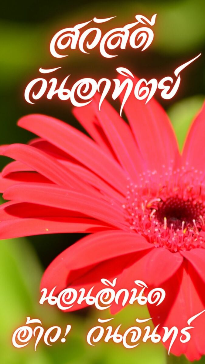 สวัสดีวันอาทิตย์ 2565