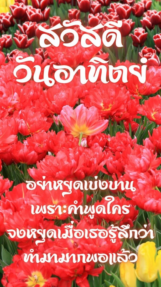 สวัสดีวันอาทิตย์ 2565