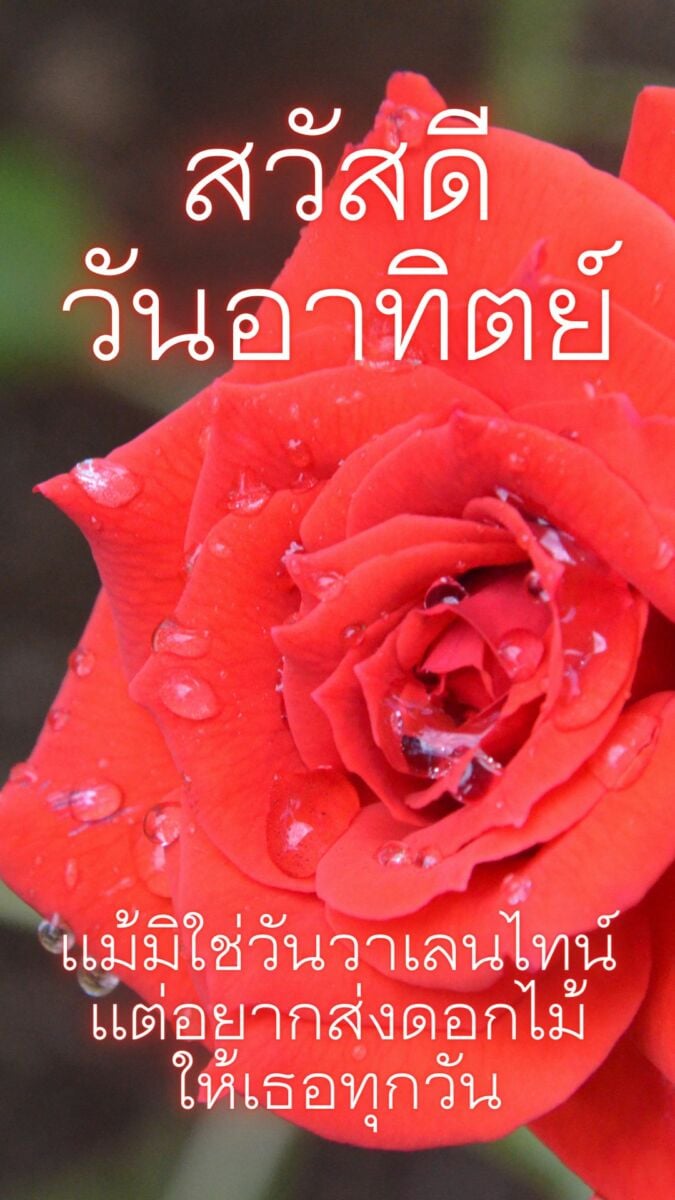 รวมภาพสวัสดีวันอาทิตย์ใหม่ล่าสุด