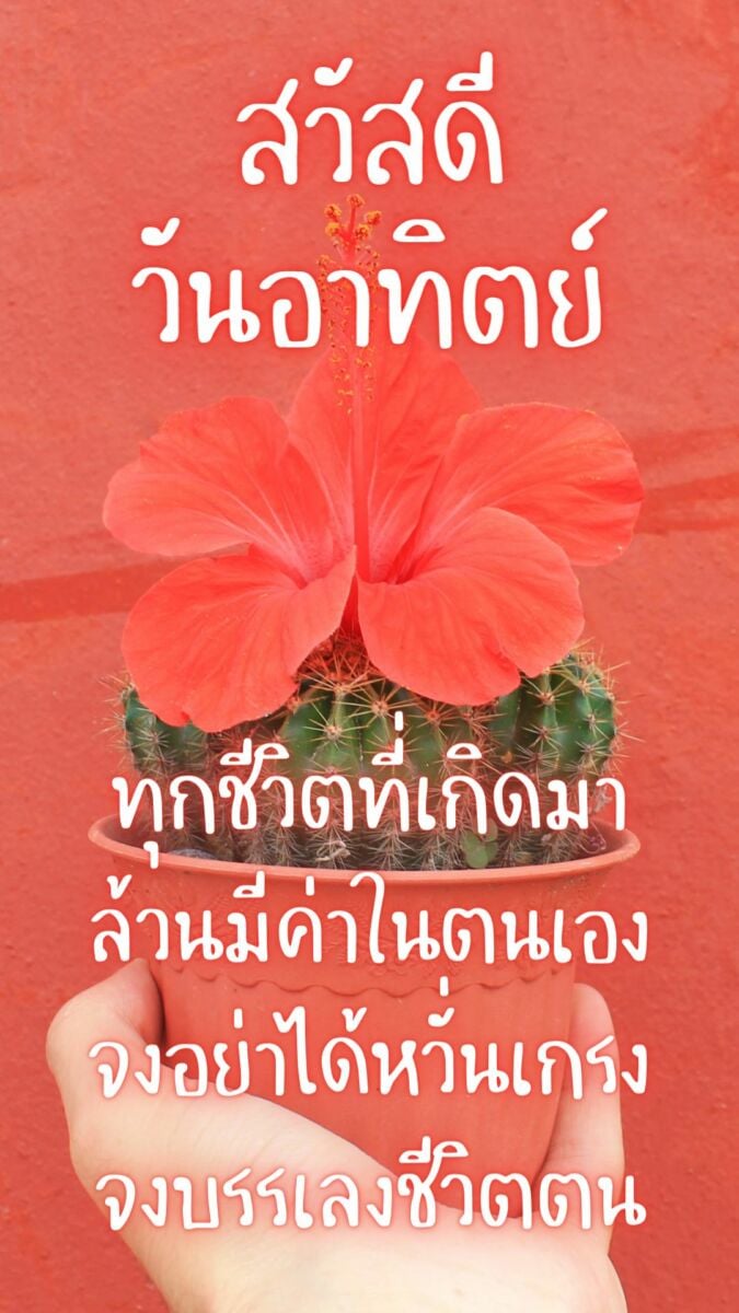 สวัสดีวันอาทิตย์ 2565