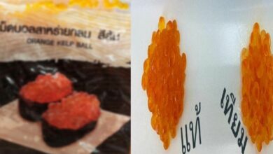 เชฟโฌ อาหารญี่ปุ่น