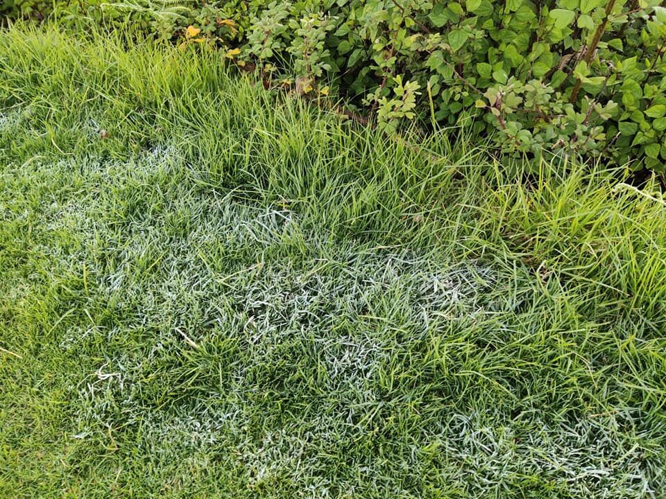 เหมยขาบ แม่คะนิ้ง ดอยอินทนนท์ เที่ยวหน้าหนาว