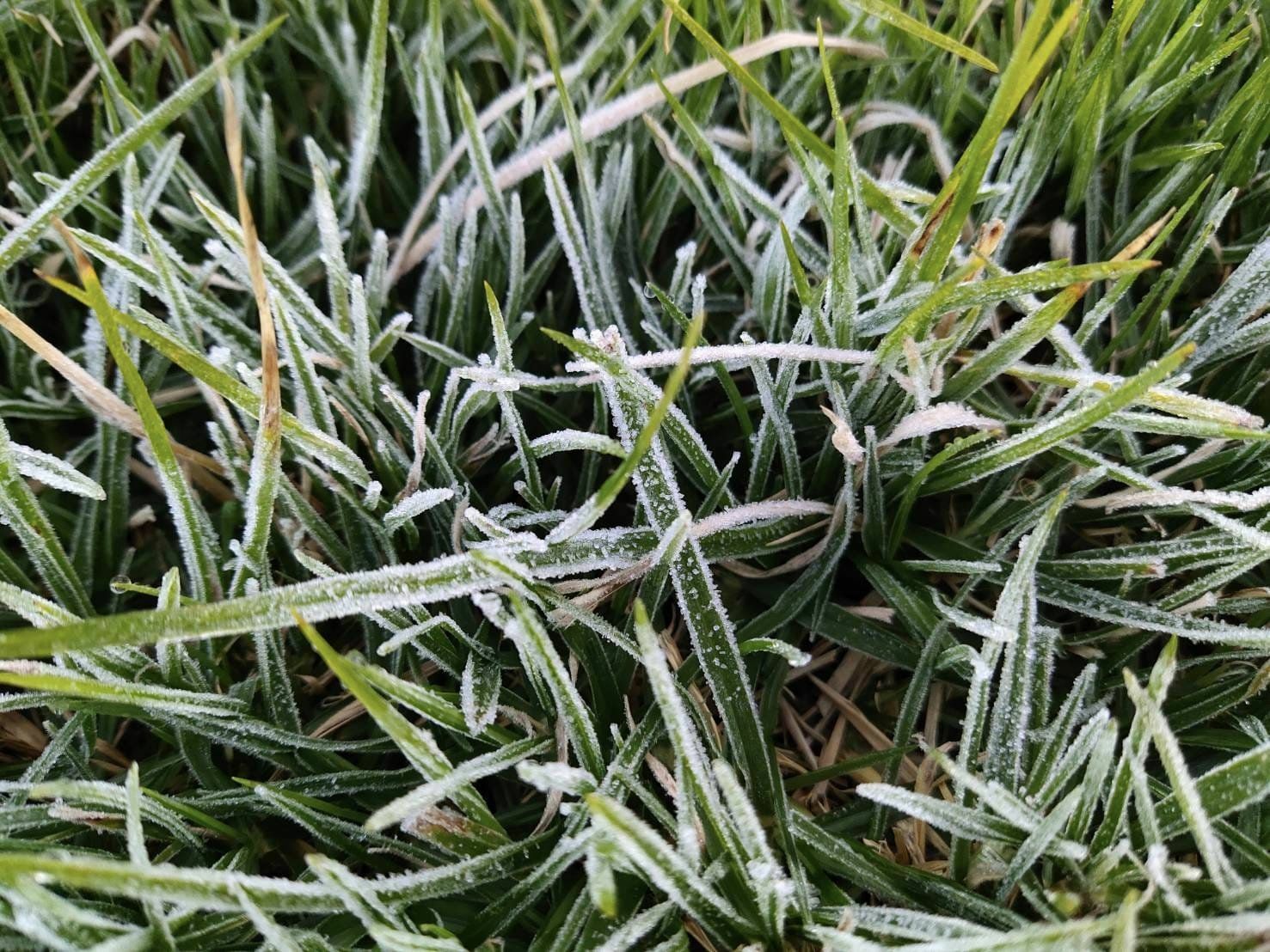 เหมยขาบ แม่คะนิ้ง ดอยอินทนนท์ เที่ยวเหนือ