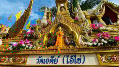ไอ้ไข่ วัดเจดีย์ 16 11 65