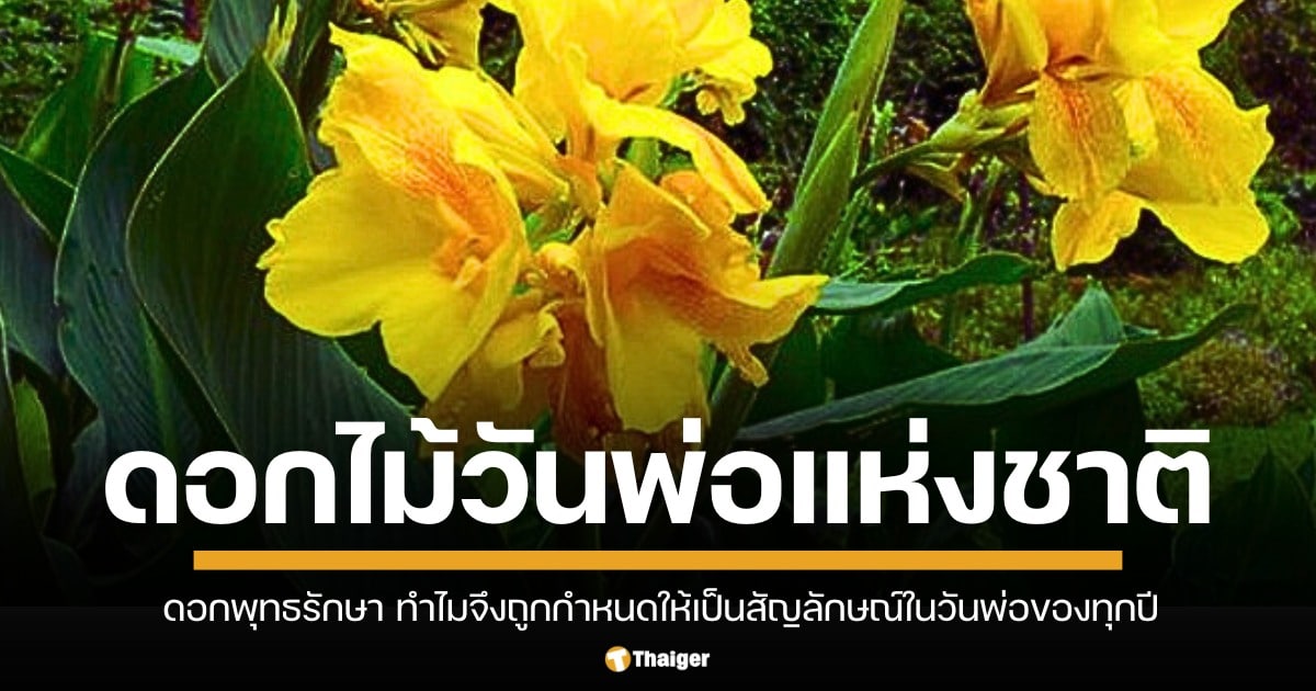 รู้จัก พุทธรักษา ดอกไม้วันพ่อแห่งชาติ มีความหมายอย่างไรบ้าง