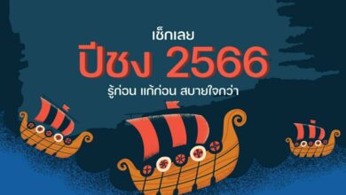 ปีชง 2566