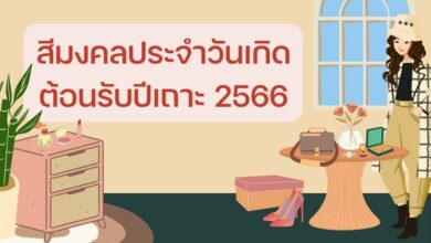 สีเสื้อมงคลประจำวันเกิด ปี2566