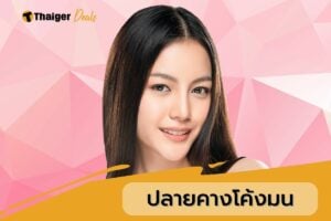 ปลายคางมีความโค้งมน