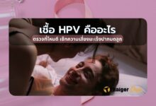 เชื้อ HPV คืออะไร ตรวจที่ไหนดี