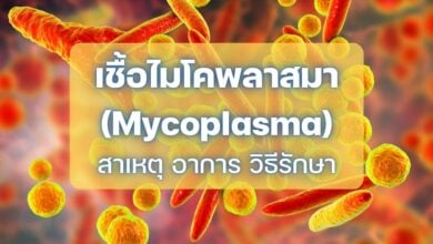 เชื้อไมโคพลาสมา