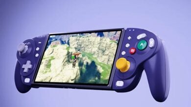 Wizard Wireless Joy-Pad