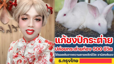 แพรรี่ ไพรวัลย์ ปล่อยกระต่ายท้อง