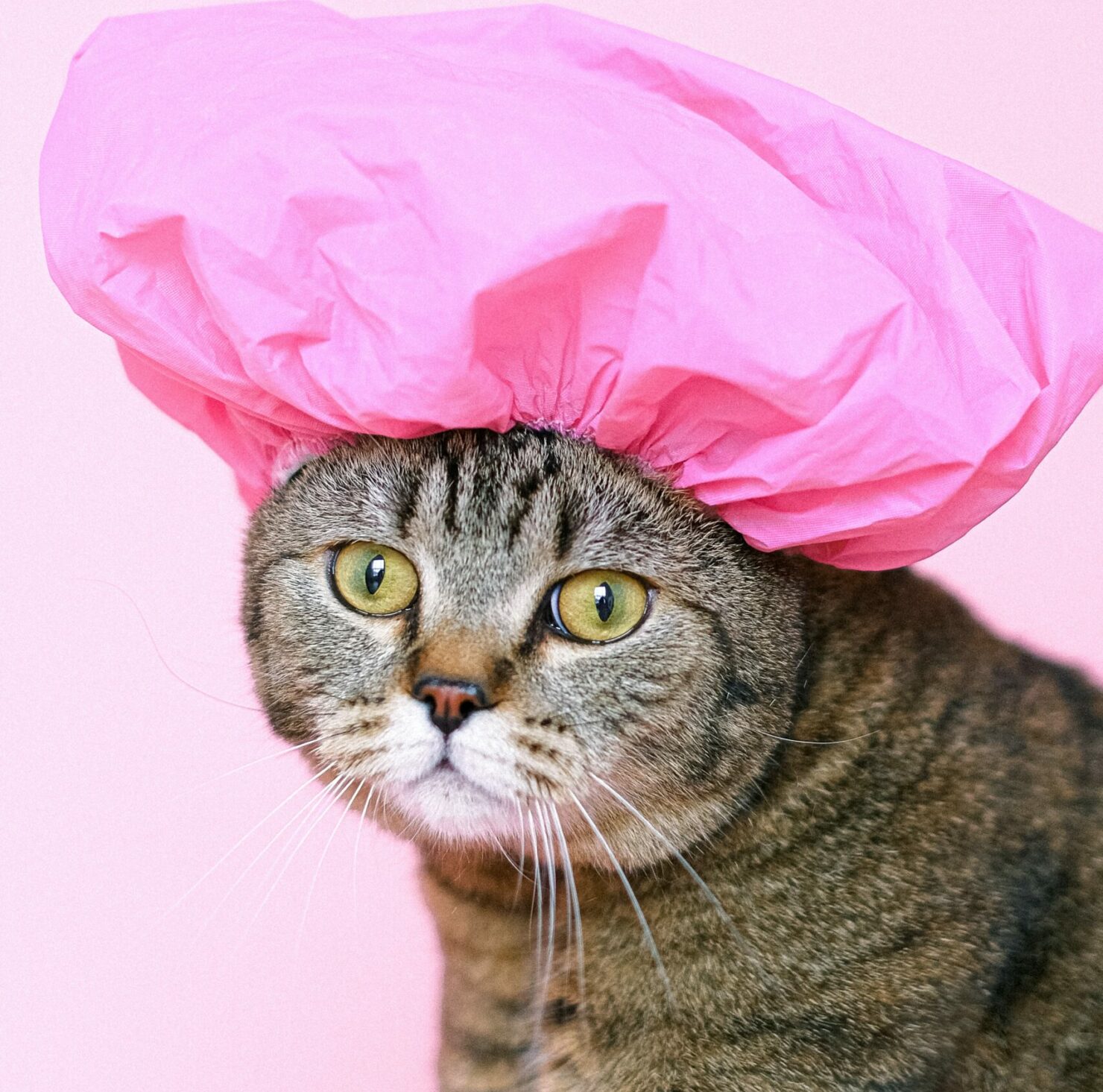 ครีมหน้าใส