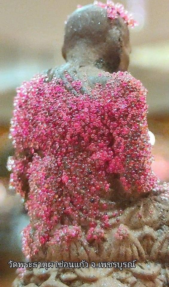 องค์หลวงปู่ดู่