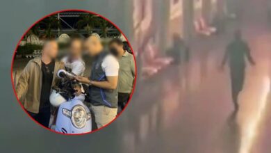 ข่าวเผาสวนงู ตู้ห่าว