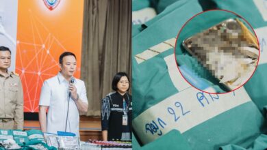 ซิลิโคนศัลยกรรมเถื่อน