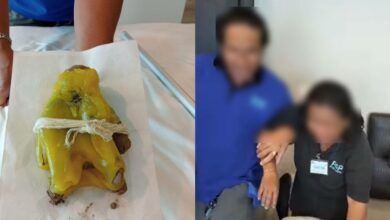 ตุ๊กตาคุณไสย 7 ป่าช้า