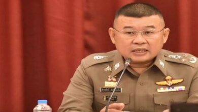 ทุนจีนสีเทา