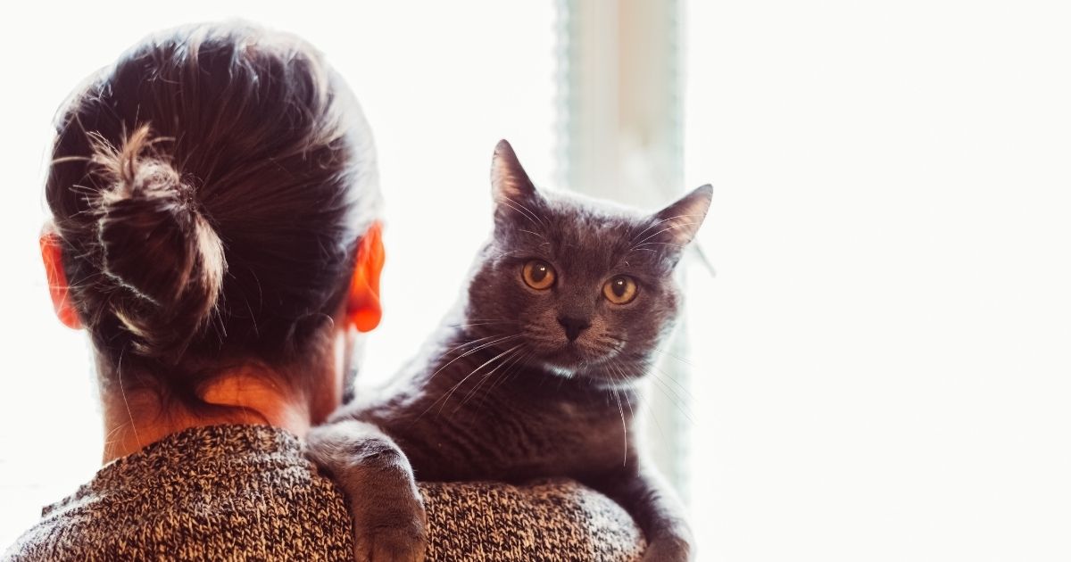 ประกันสัตว์เลี้ยง