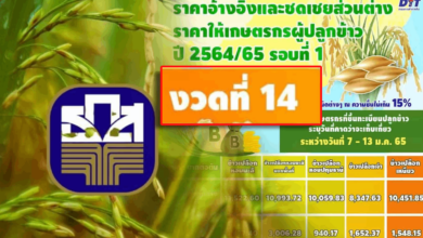ประกันรายได้ข้าวงวดที่ 14 เงินส่วนต่าง