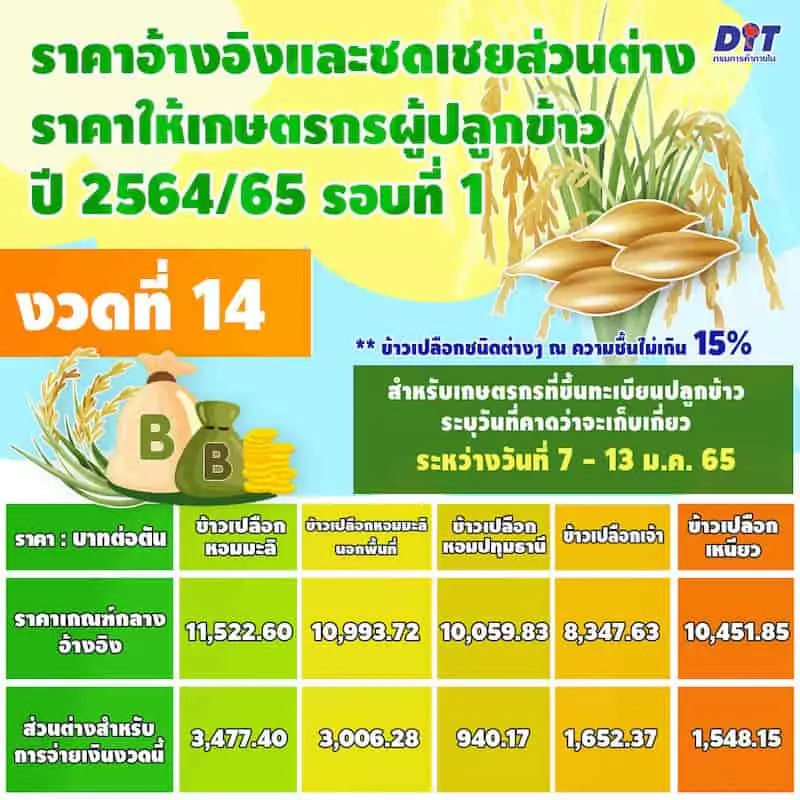 ประกันรายได้ข้าวงวดที่ 14