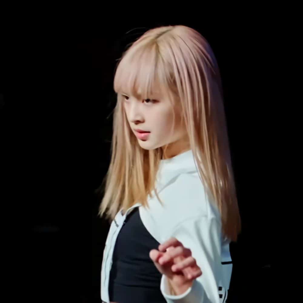 ประวัติ 'ชิกิต้า' - CHIQUITA (น้องแคนนี่)