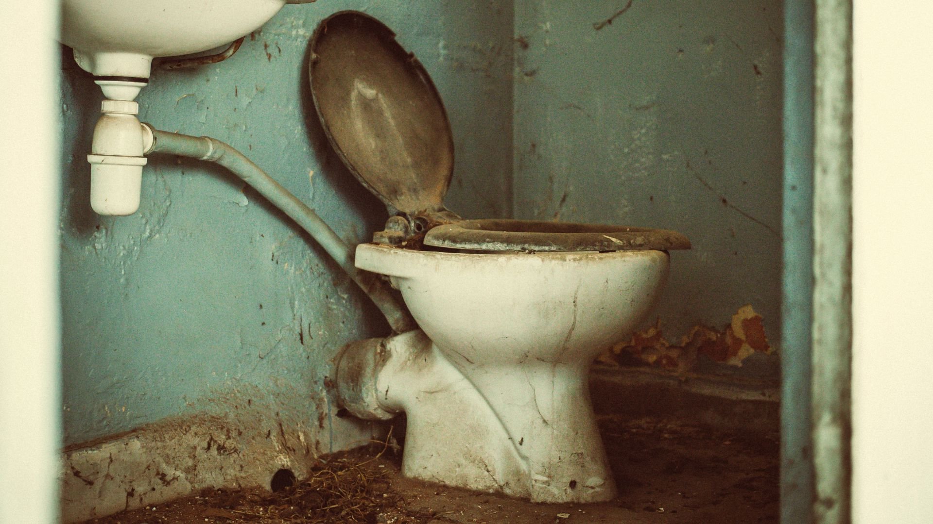 ฝันว่านั่งขี้