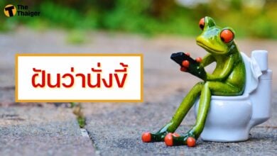 ฝันว่านั่งขี้