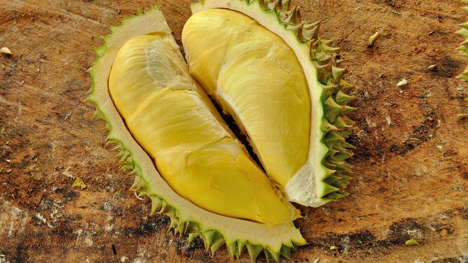 ฝันว่านั่งขี้