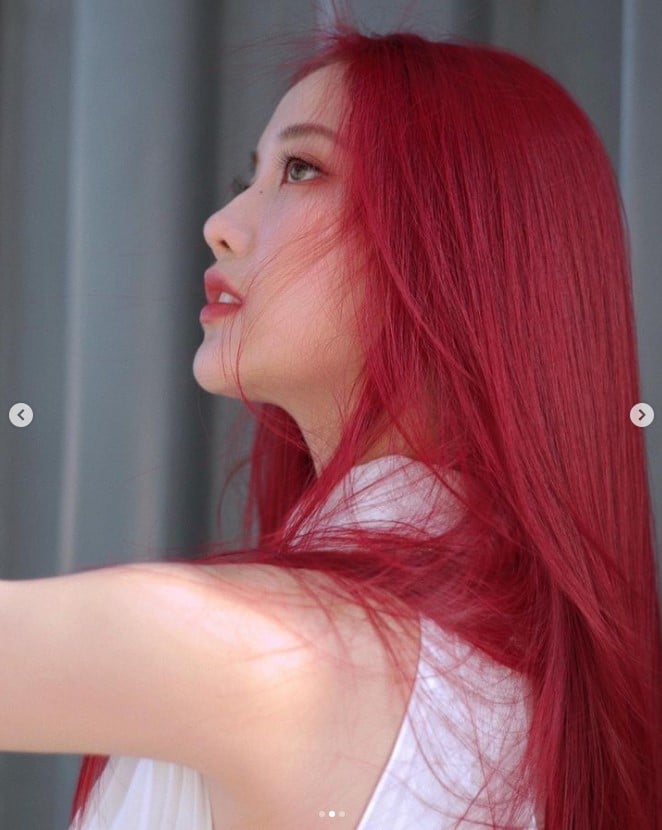 ฟรีน สโรชา ประวัติ