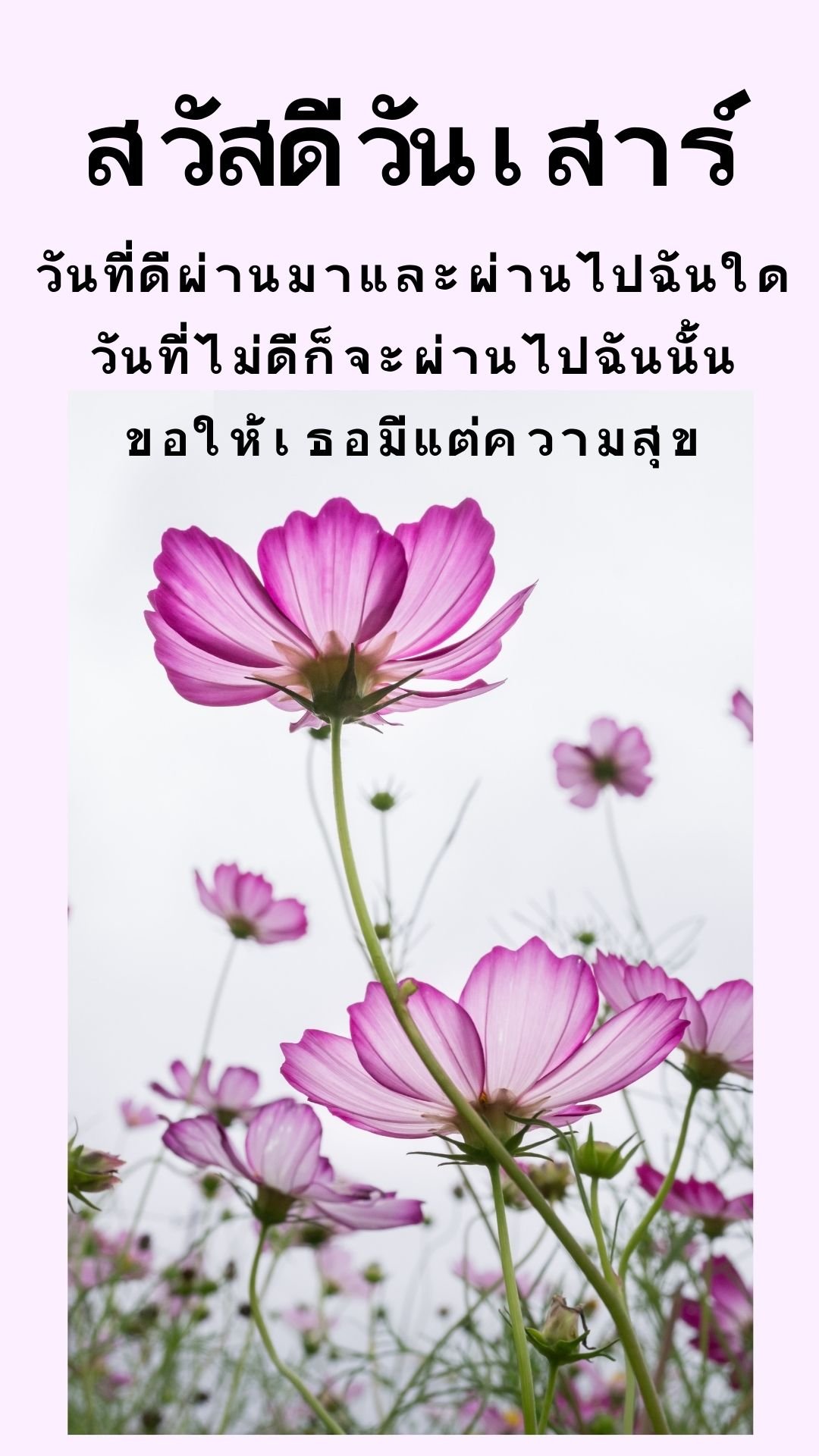 รูปสวัสดีวันเสาร์