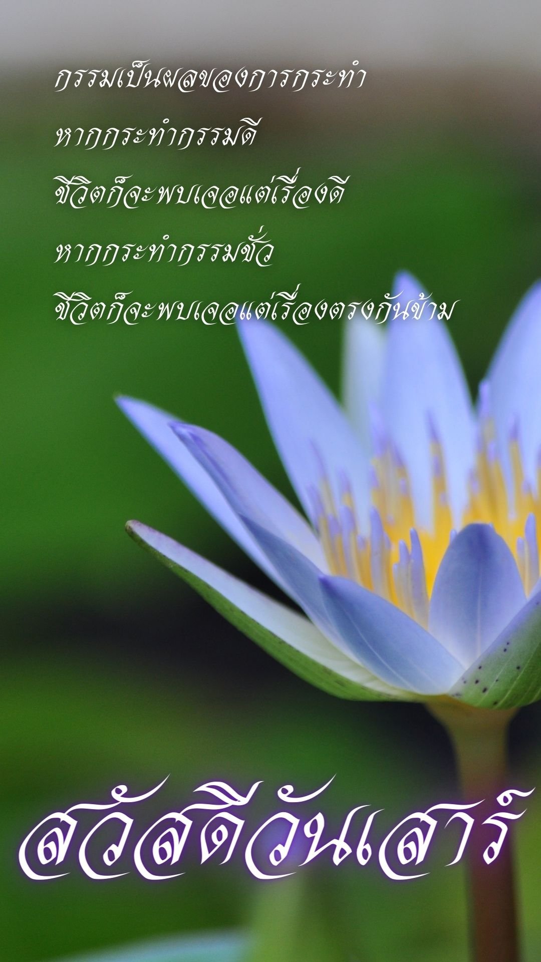 ภาพสวัสดีวันเสาร์