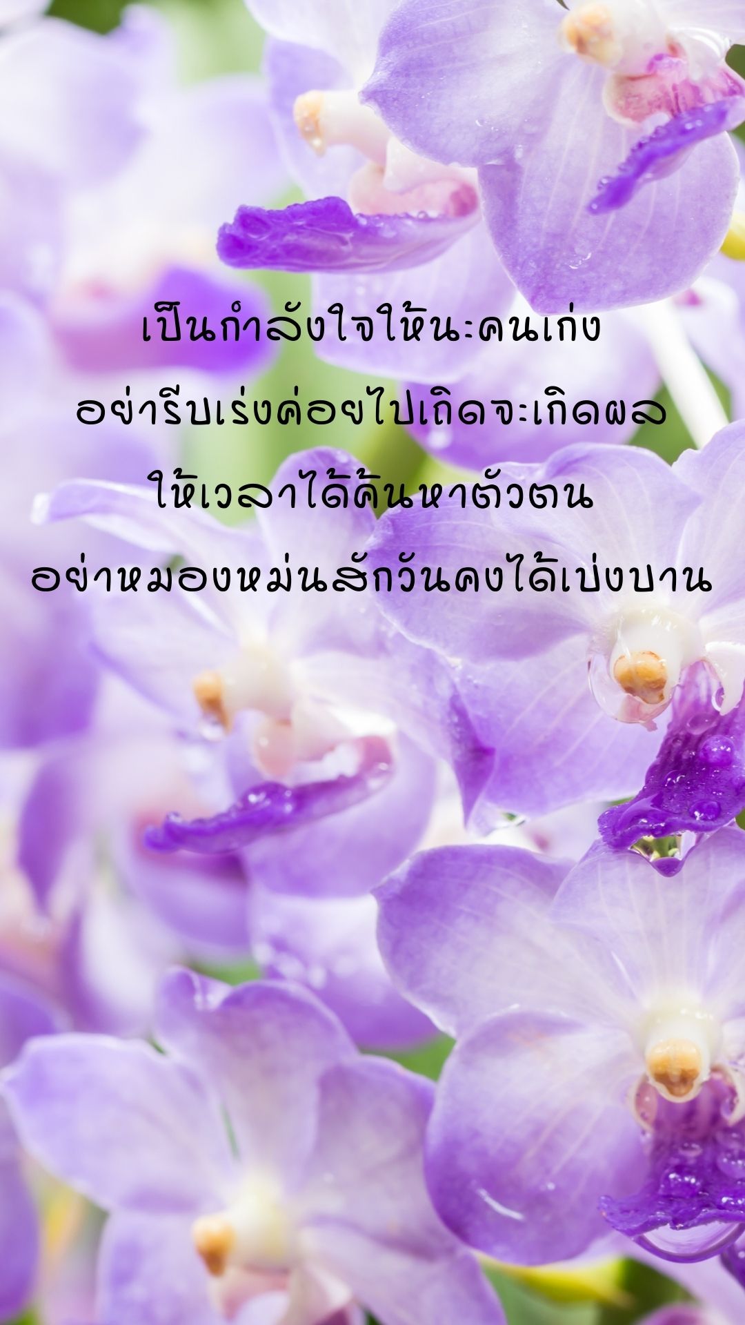 ภาพสวัสดีวันเสาร์