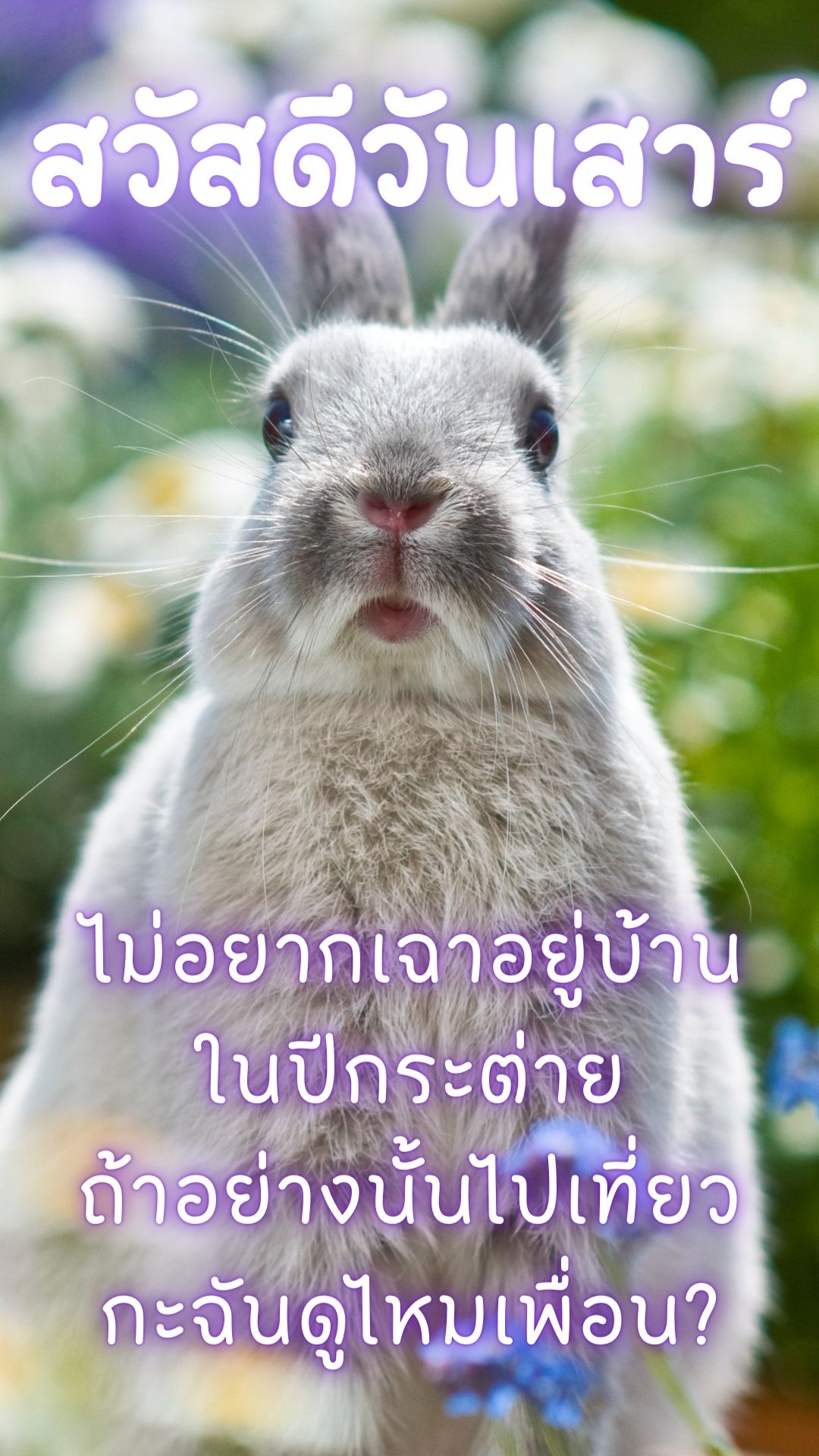 ภาพสวัสดีวันเสาร์