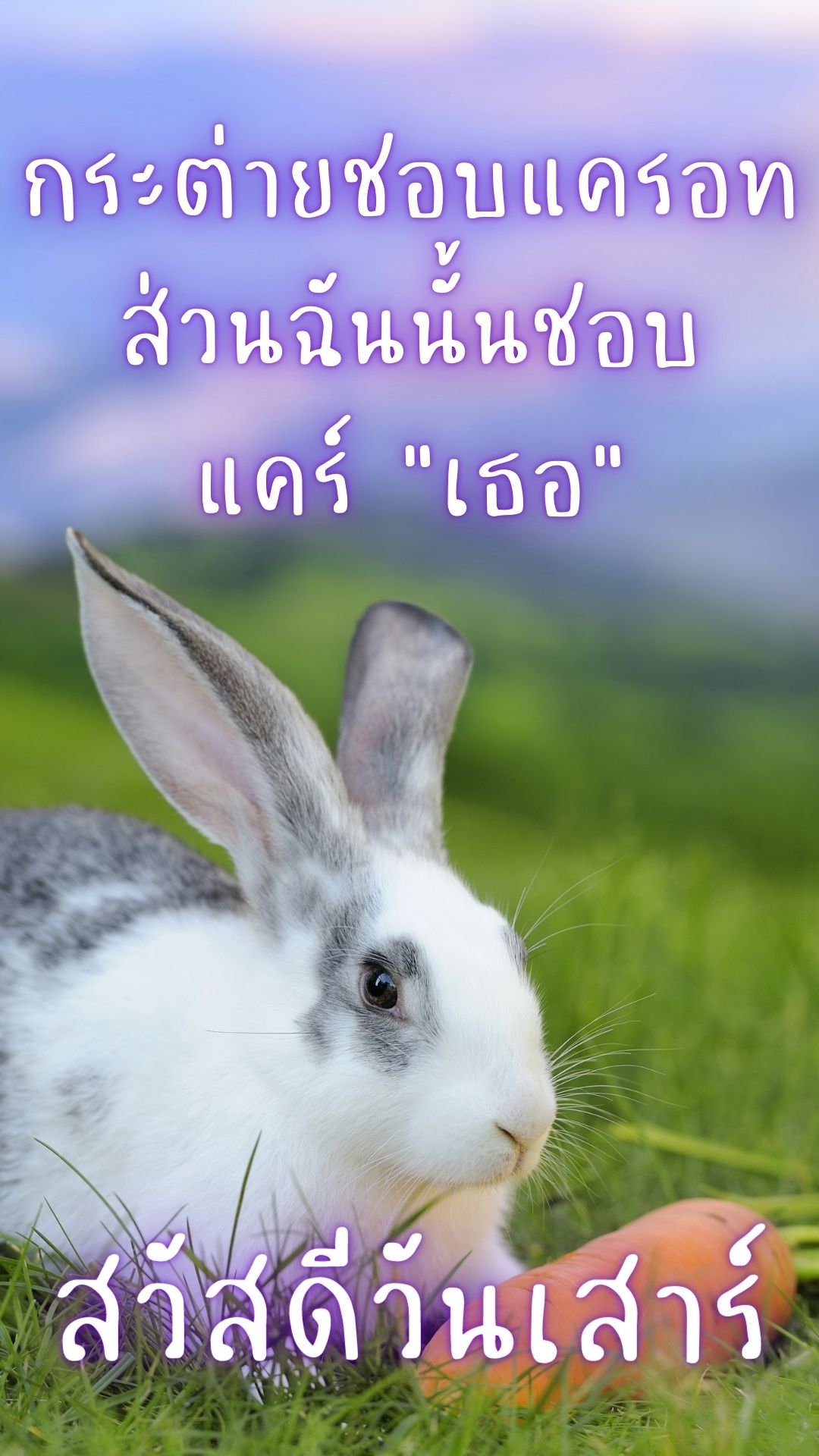 ภาพสวัสดีวันเสาร์
