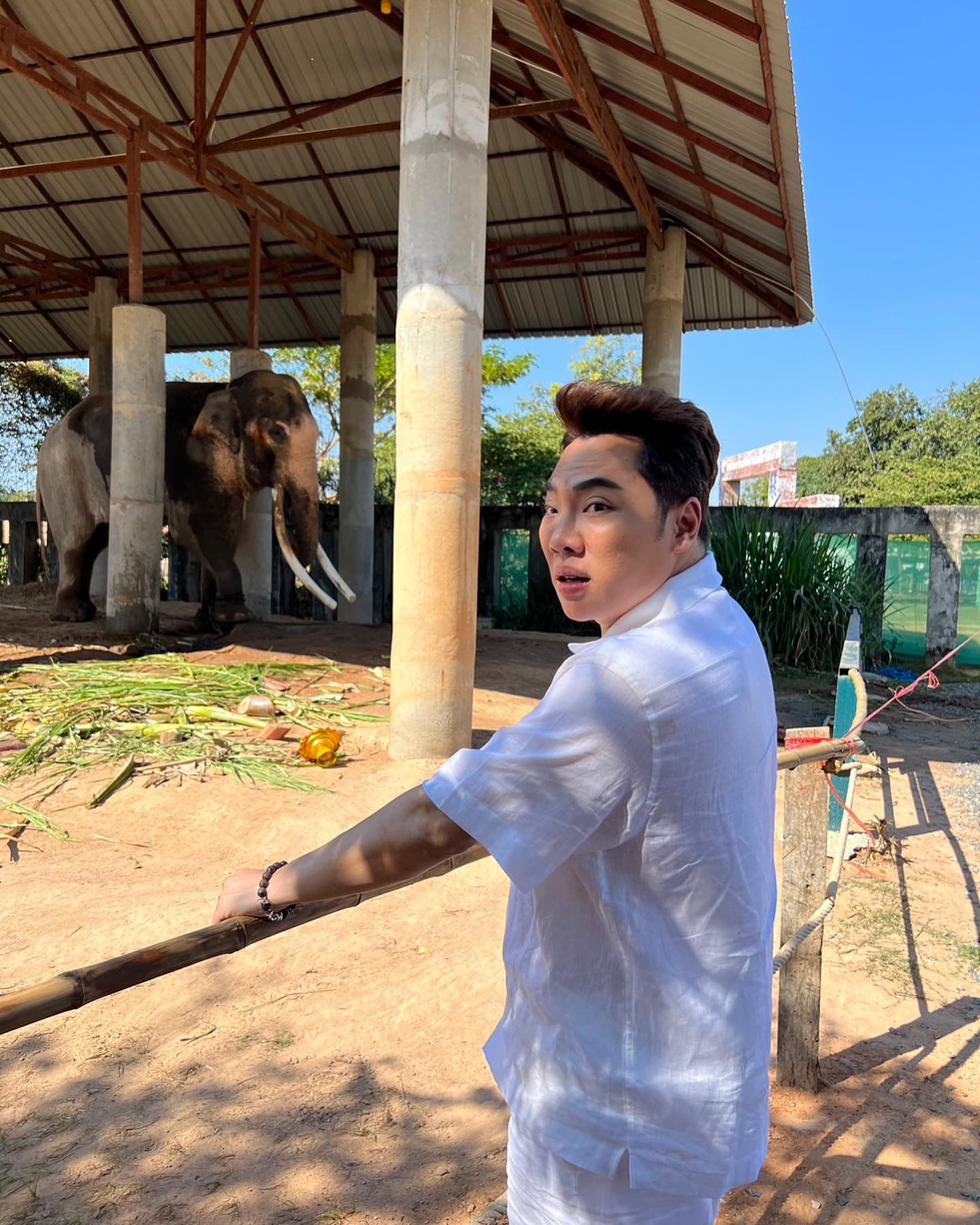 มดดำ พระเอกป่วยหนัก