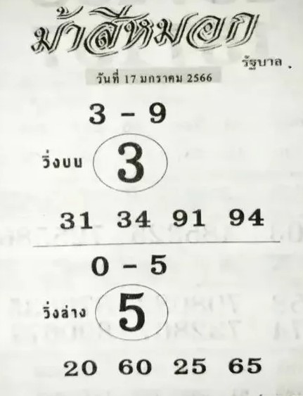 ม้าสีหมอก 17 1 66