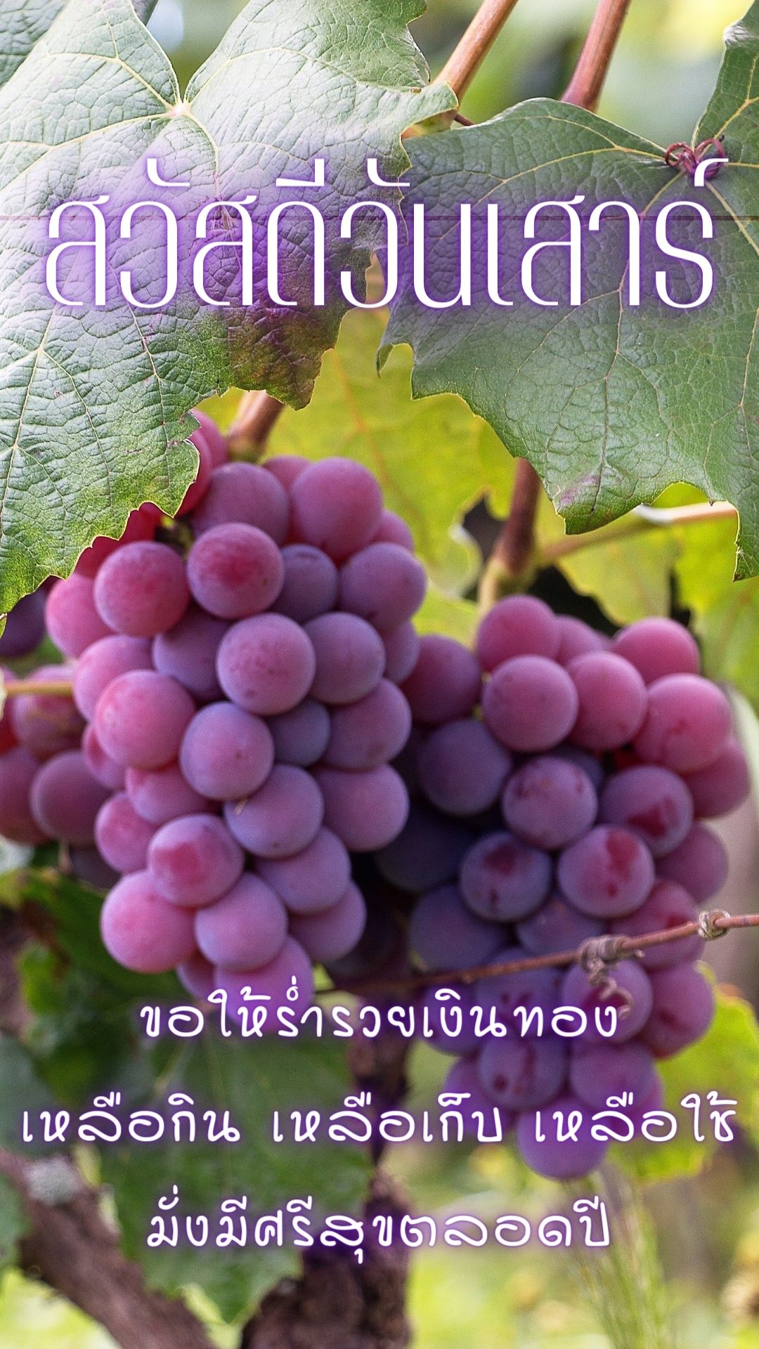 รูปสวัสดีวันเสาร์