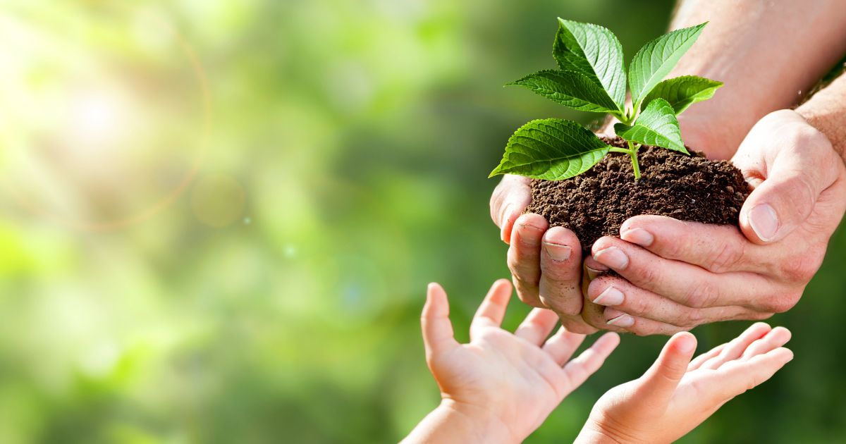 วันอนุรักษ์ทรัพยากรป่าไม้ของชาติ ประวัติ