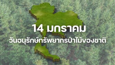 วันอนุรักษ์ทรัพยากรป่าไม้ของชาติ ประวัติ