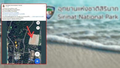 อุทยานแห่งชาติสิรินาถ ป่าแหว่ง