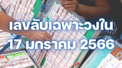 เลขลับเฉพาะวงใน 17 1 66