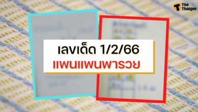 เลขเด็ด 1/2/66 แพนแพนพารวย