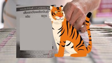 เลขเด็ด เสือตกถังพลังเงินดี 17 1 66