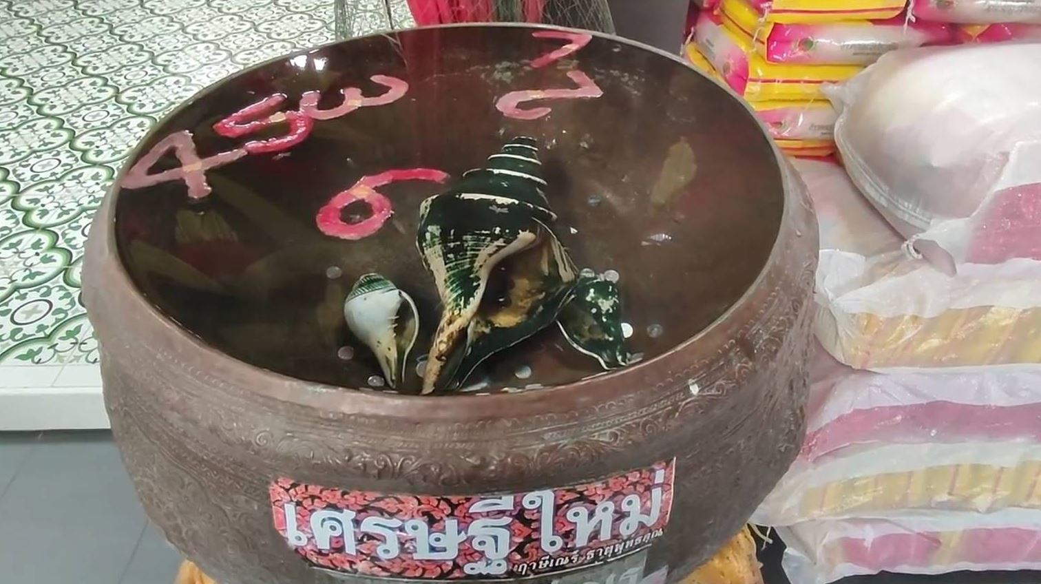 เลขเด็ดอ่างน้ำมนต์