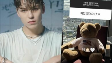 เวอร์นอน seventeen เดท
