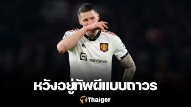 เวาท์ เวกฮอร์สต์ แมนยู
