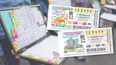 แปลปกสลาก 17 1 66