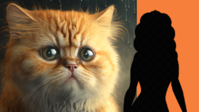 แมวโดนตัดลับ