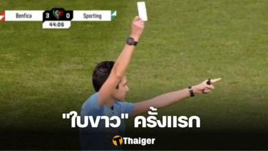 ใบขาว เบนฟิก้า พบ สปอร์ติ้ง ลิสบอน